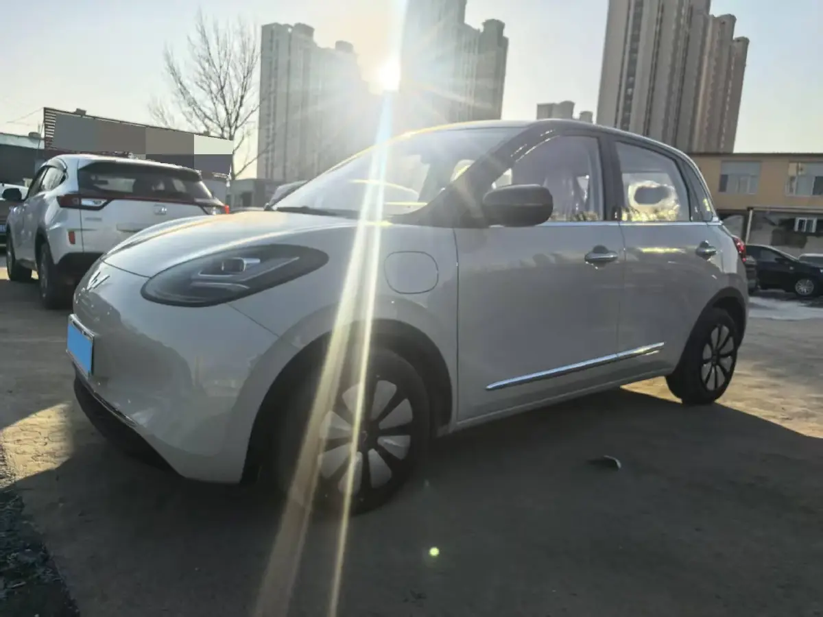 2024 WuLing BinGuo BEV 31.9KWH
