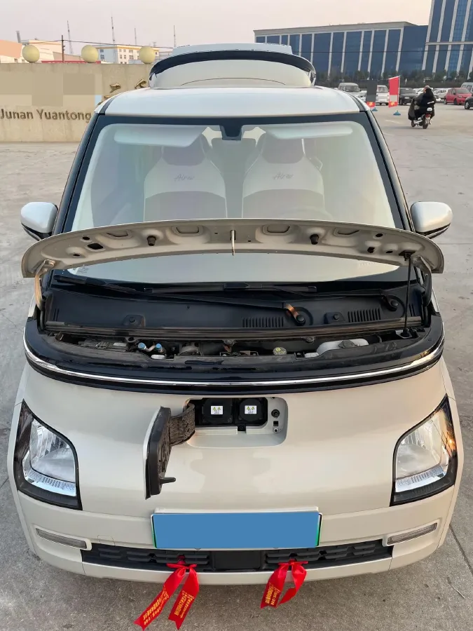 2023 EV House YOUNG BEV 32.56KWH,autocango,china used car exporter,china ev exporter,chinese used car exporter,chinese used ev exporter