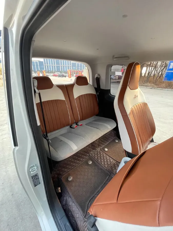 2023 EV House YOUNG BEV 32.56KWH,autocango,china used car exporter,china ev exporter,chinese used car exporter,chinese used ev exporter