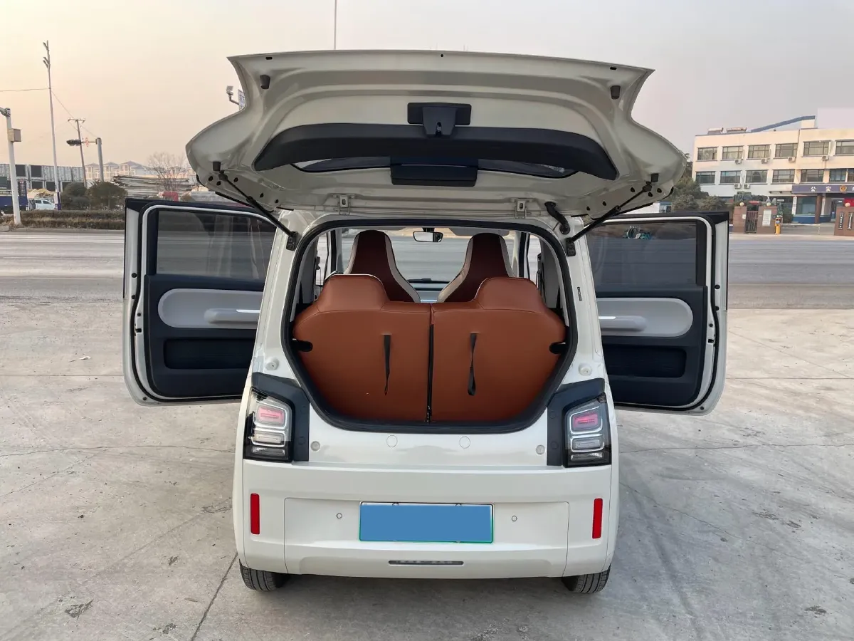2023 EV House YOUNG BEV 32.56KWH,autocango,china used car exporter,china ev exporter,chinese used car exporter,chinese used ev exporter