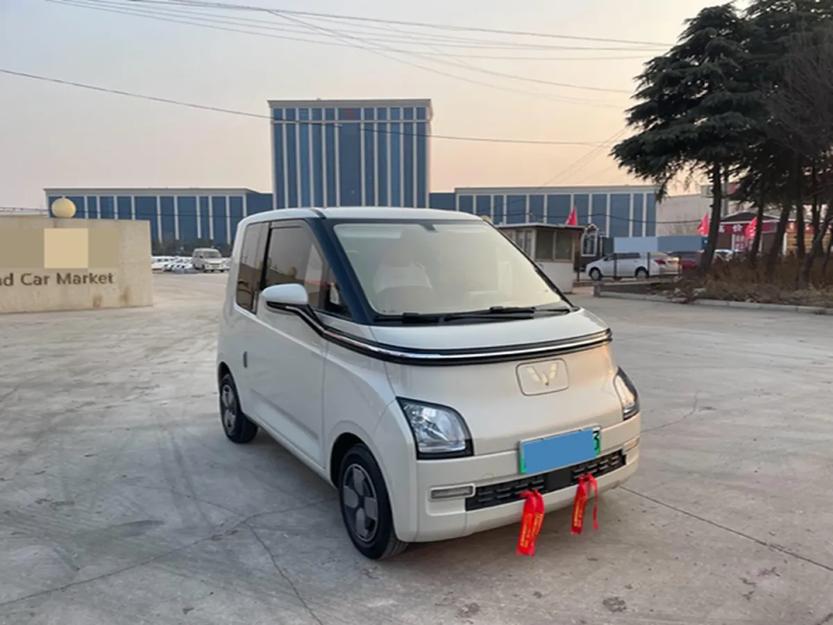 2023 EV House YOUNG BEV 32.56KWH,autocango,china used car exporter,china ev exporter,chinese used car exporter,chinese used ev exporter