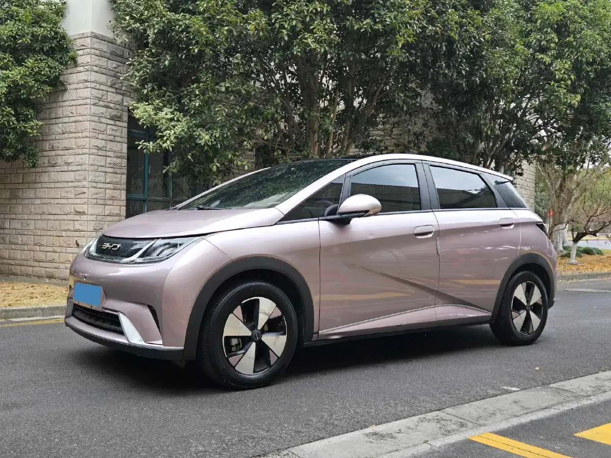 2023 BYD Dolphin BEV 44.928KWH