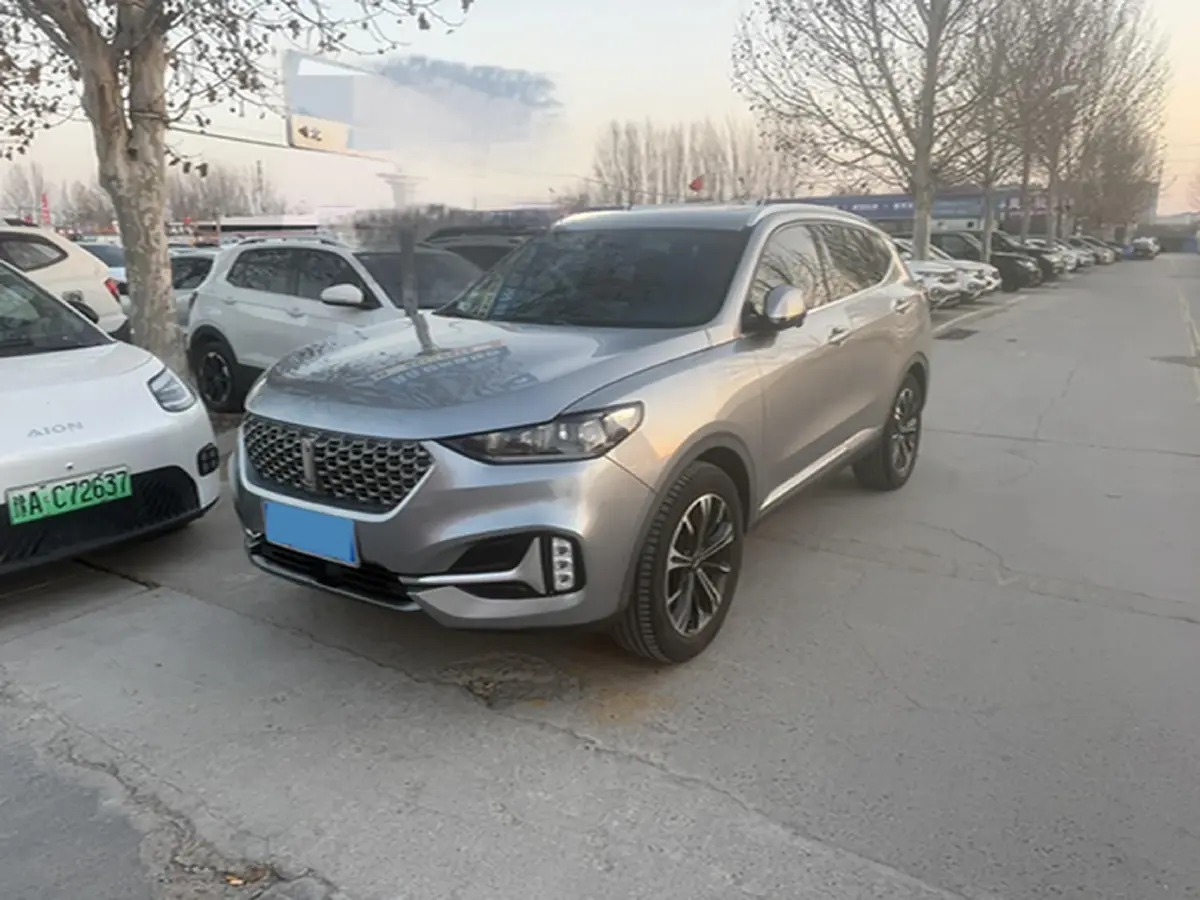 2021 WEY VV6 2.0T 227HP L4 7DCT