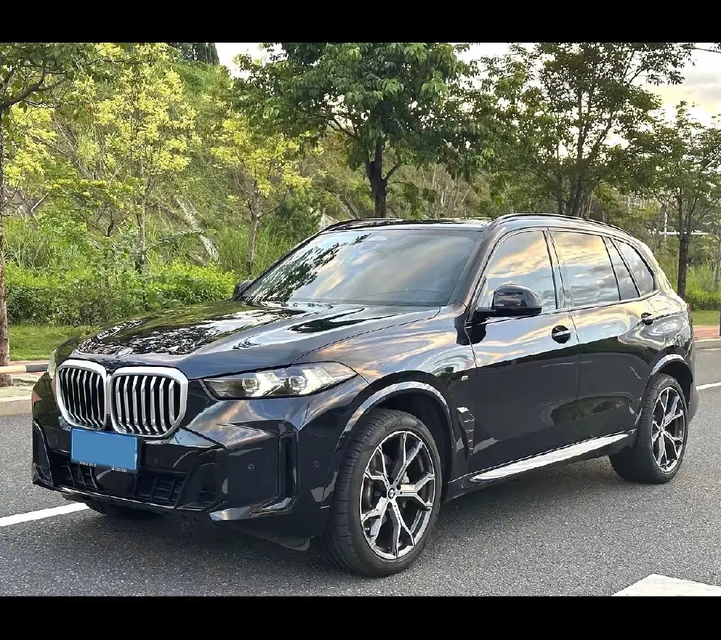 2025 BMW X5 2.0T 258HP L4 8AT