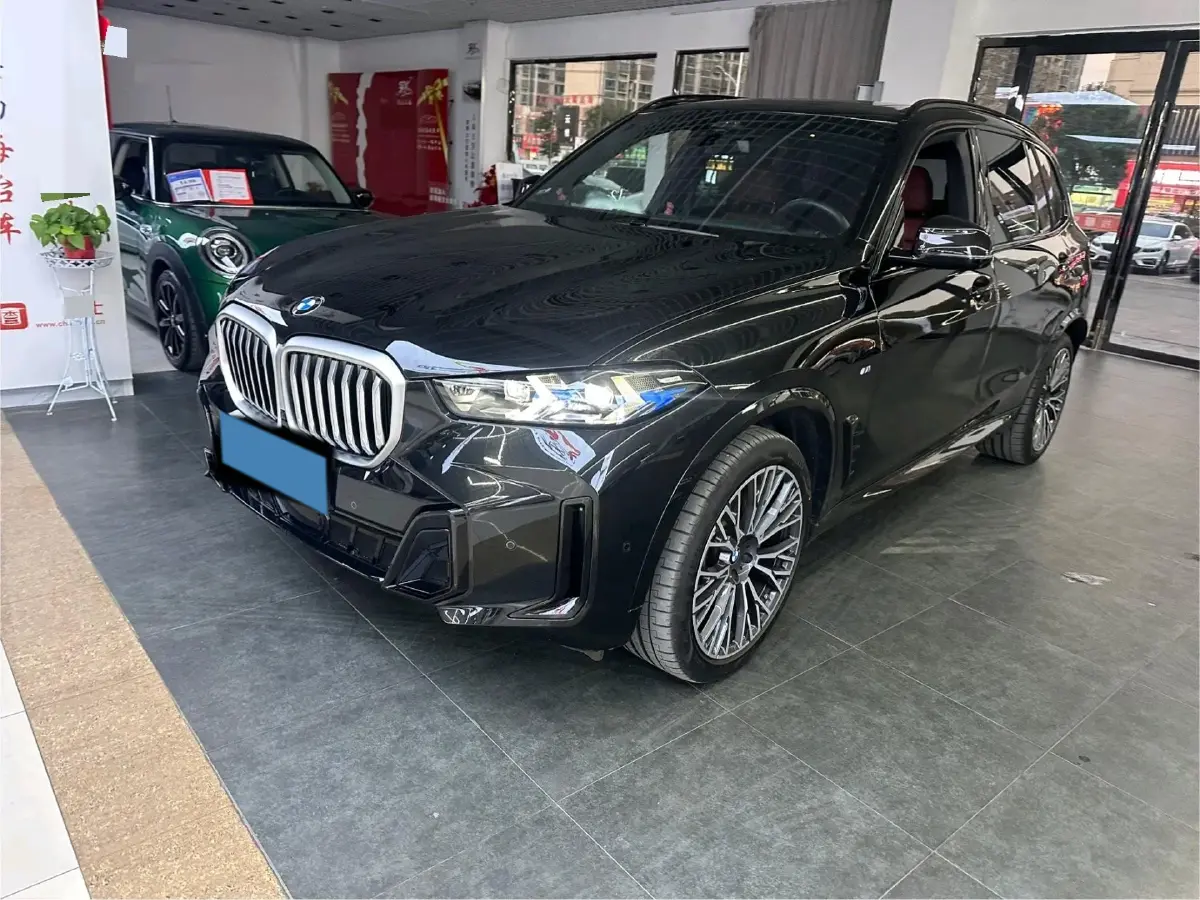 2025 BMW X5 3.0T 381HP L6 8AT