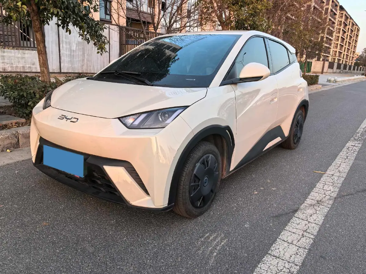 2025 BYD Seagull BEV 30.08KWH
