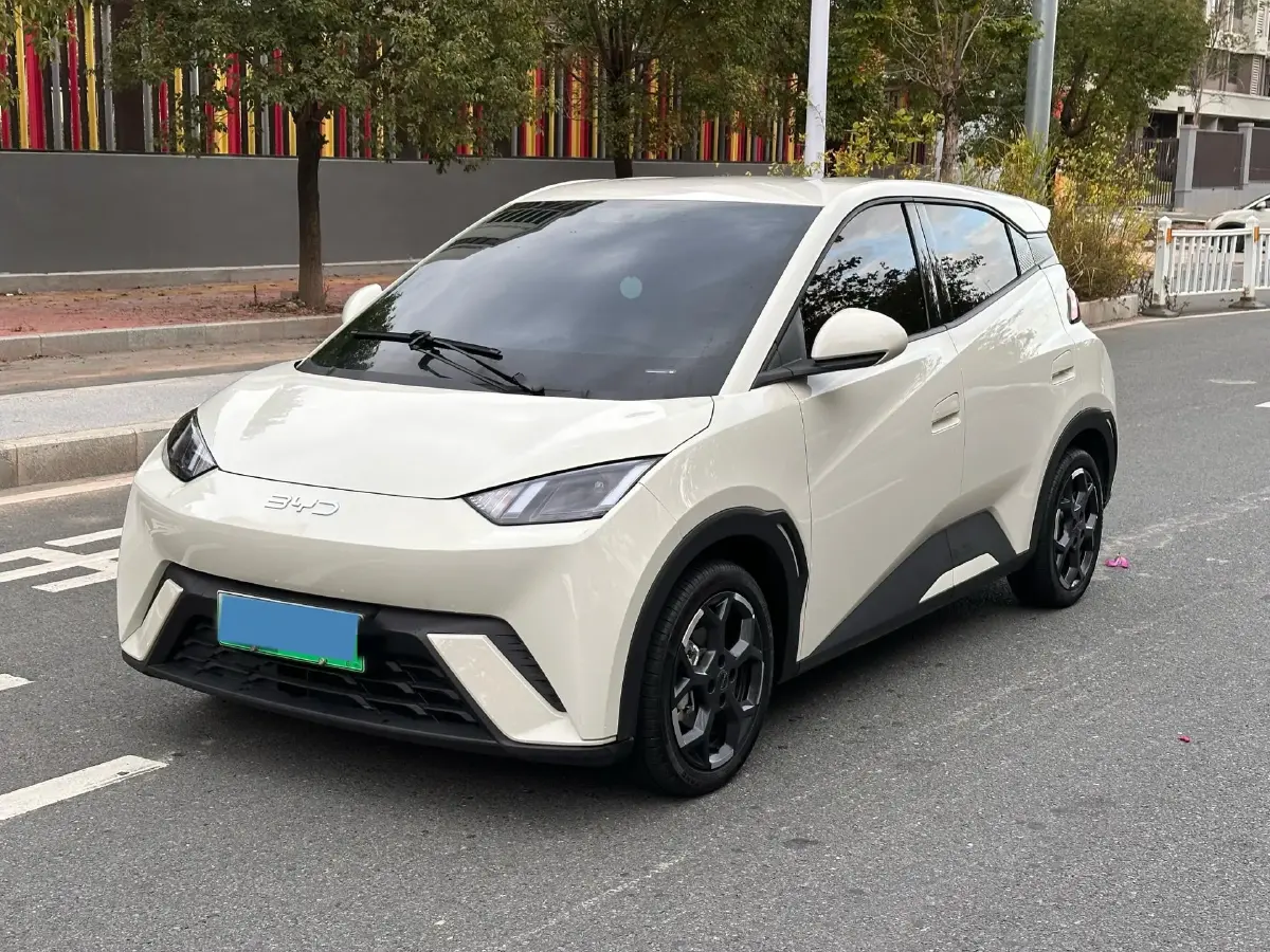 2025 BYD Seagull BEV 30.08KWH