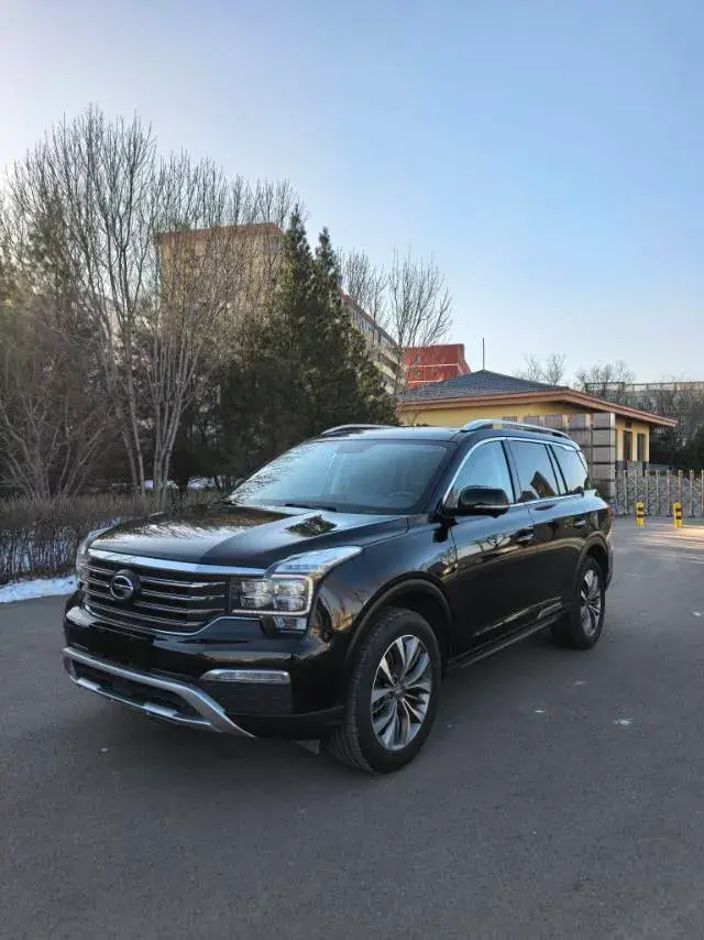 2017 GAC Trumpchi GS8 2.0T 201HP L4 6AT