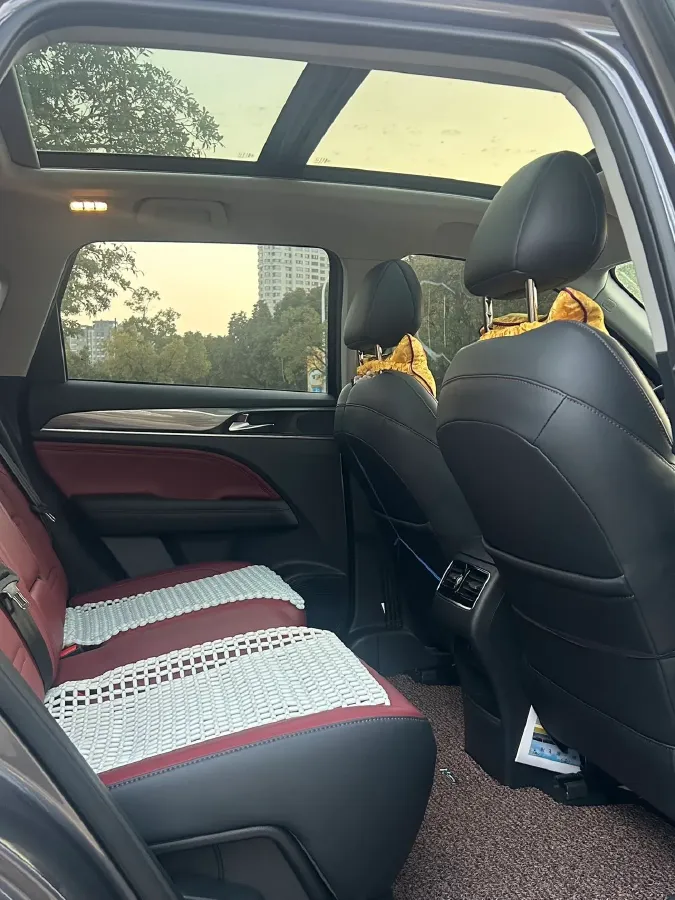 2021 GAC Trumpchi GS4 Plus 2.0T 252HP L4 6AT,autocango,china used car exporter,china ev exporter,chinese used car exporter,chinese used ev exporter