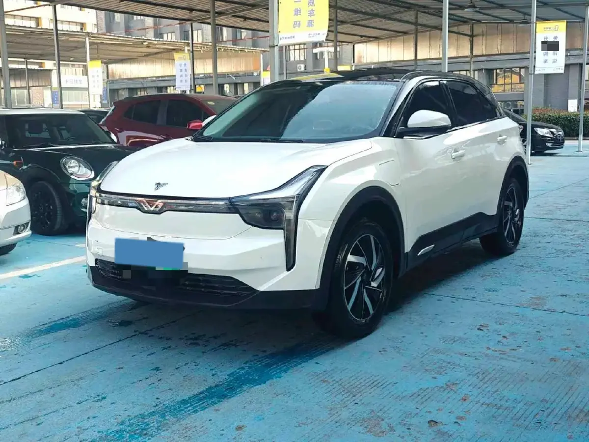 2021 Neta U BEV 54.34KWH