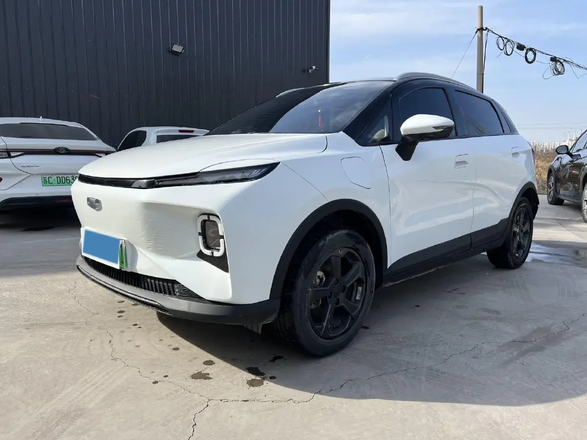 2024 Geometry E BEV 29.67KWH