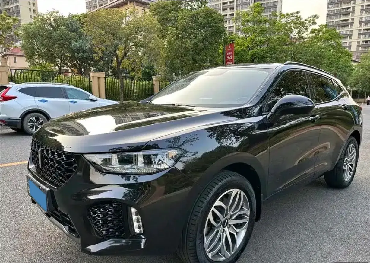 2019 WEY VV5 2.0T 224HP L4 7DCT