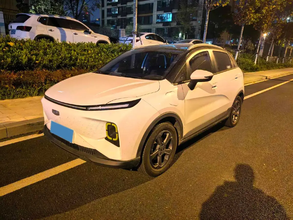 2022 Geometry E BEV 39.4KWH