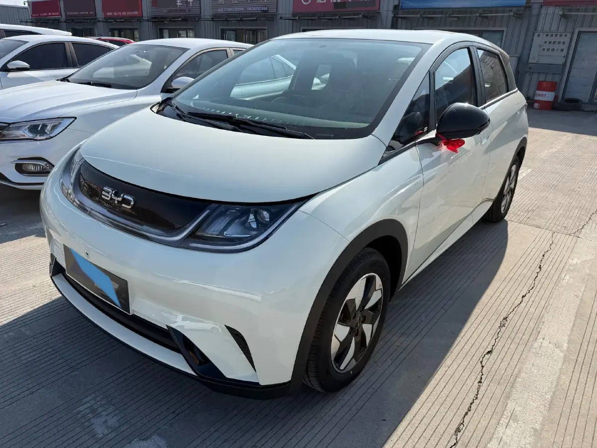 2025 BYD Dolphin BEV 44.928KWH