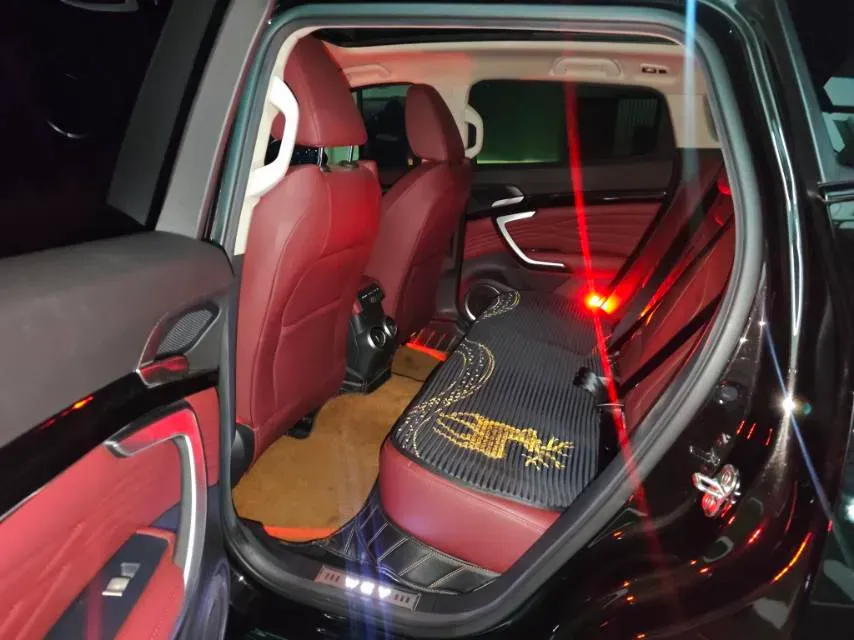 2018 WEY P8 2.0T 234HP L4 6DCT PHEV 12.96KWH,autocango,china used car exporter,china ev exporter,chinese used car exporter,chinese used ev exporter