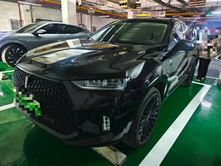 2018 WEY P8 2.0T 234HP L4 6DCT PHEV 12.96KWH