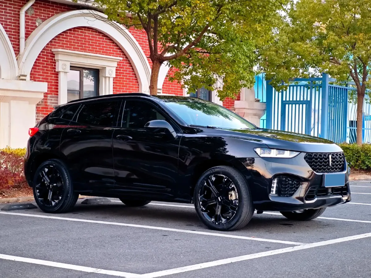 2017 WEY VV7 2.0T 234HP L4 7DCT,autocango,china used car exporter,china ev exporter,chinese used car exporter,chinese used ev exporter