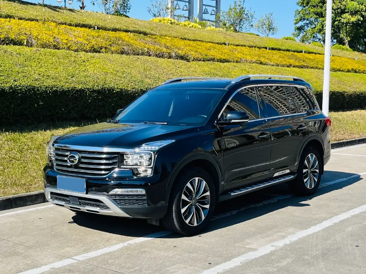 2019 GAC Trumpchi GS8 2.0T 252HP L4 6AT