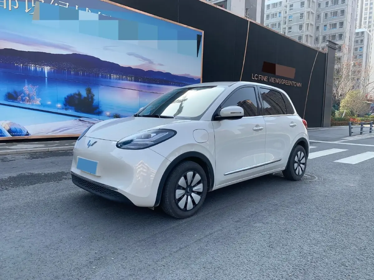 2024 WuLing BinGuo BEV 31.9KWH