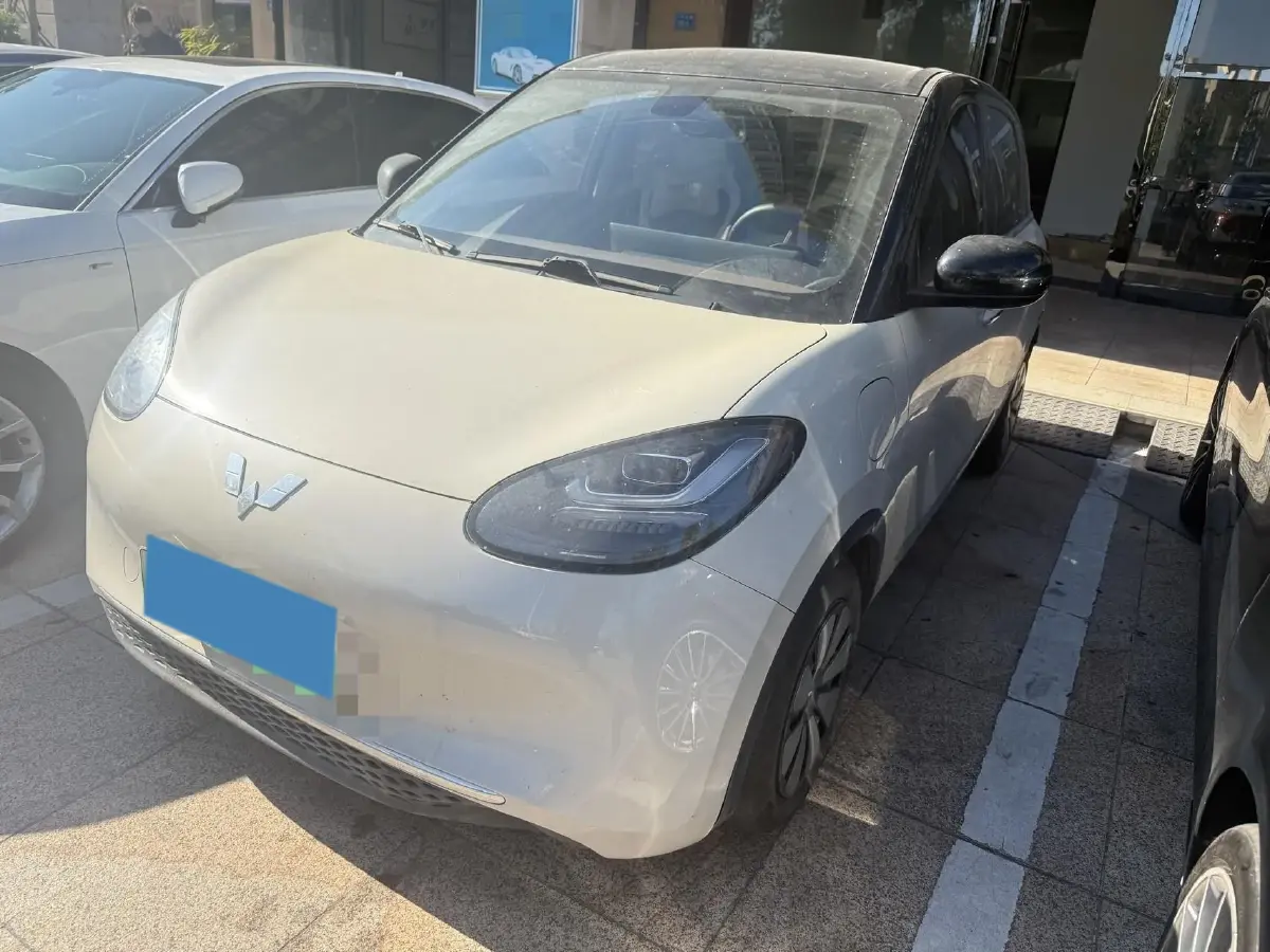 2023 WuLing BinGuo BEV 37.9KWH