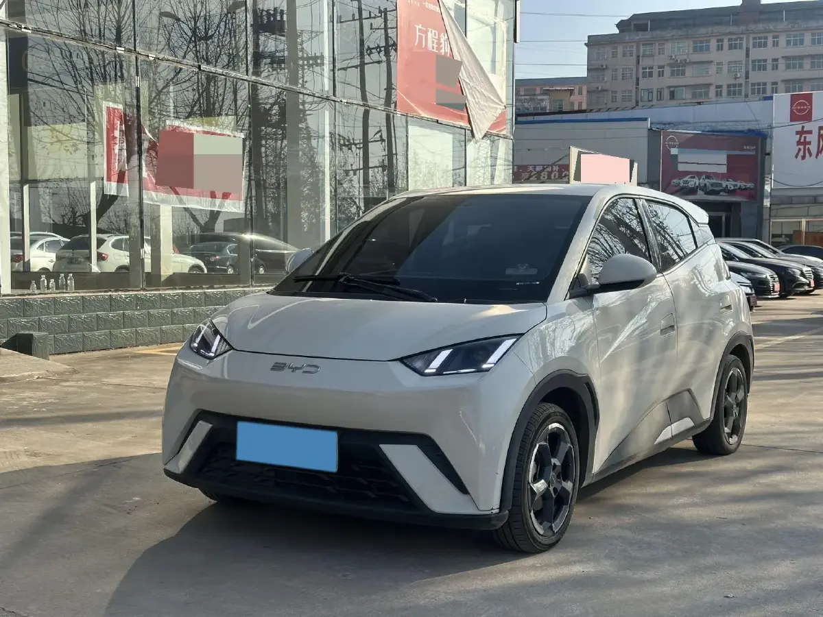 2023 BYD Yuan Pro BEV 38KWH