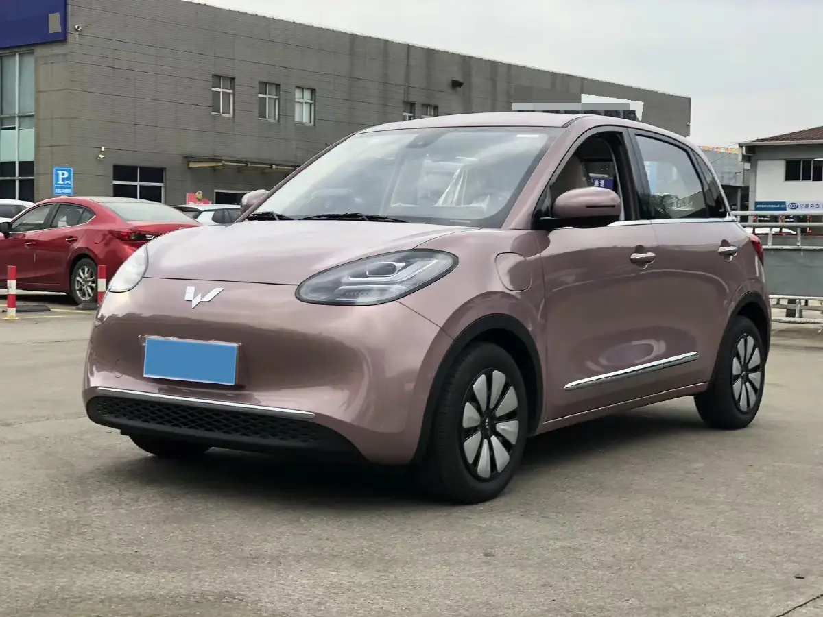 2023 WuLing BinGuo BEV 31.9KWH