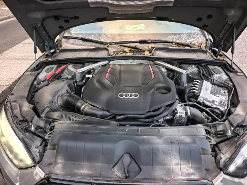 2020 Audi S5 3.0T 354HP V6 8AT,autocango,china used car exporter,china ev exporter,chinese used car exporter,chinese used ev exporter