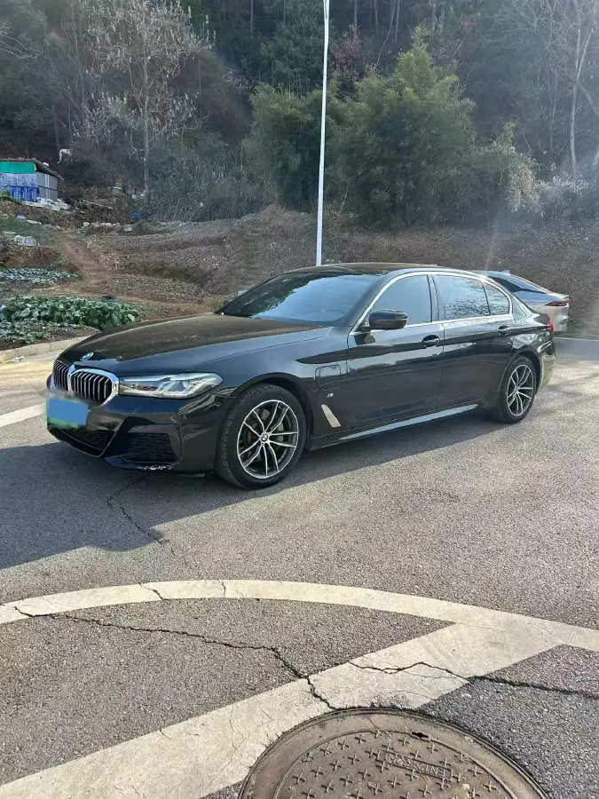 2021 BMW 5 Series 2.0T 184HP L4 8AT PHEV 17.7KWH