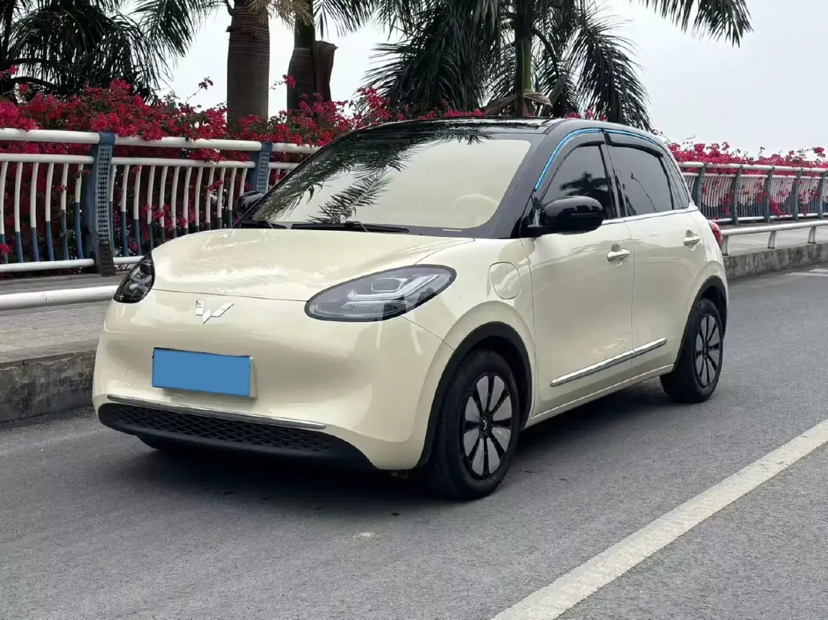 2025 WuLing BinGuo BEV