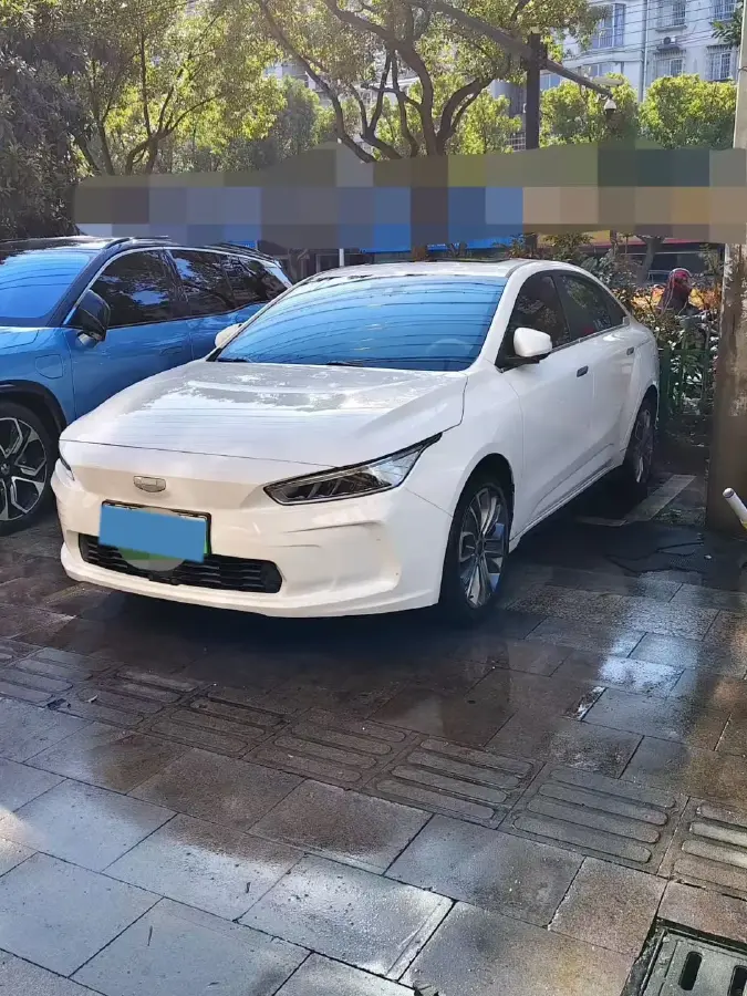 2019 Geometry A BEV 51.9KWH