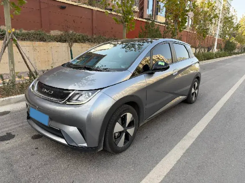 2023 BYD Dolphin BEV 44.928KWH