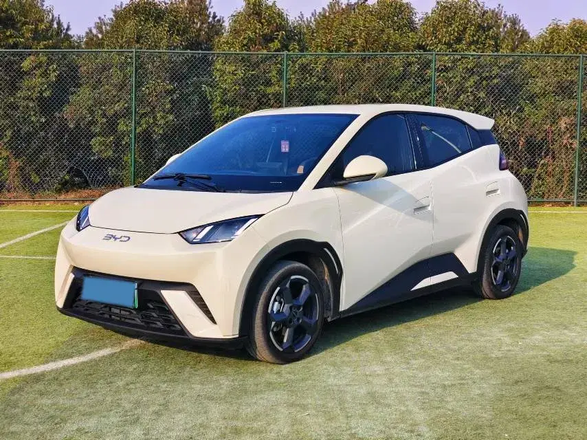 2023 BYD Yuan Pro BEV 38KWH