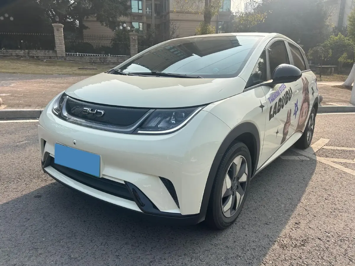 2024 BYD Dolphin BEV 44.928KWH