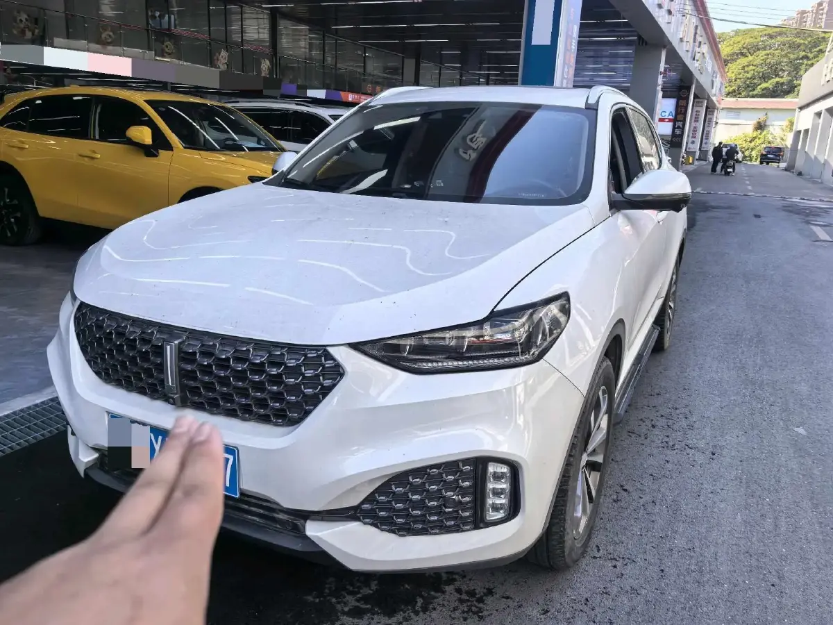 2020 WEY VV6 2.0T 227HP L4 7DCT