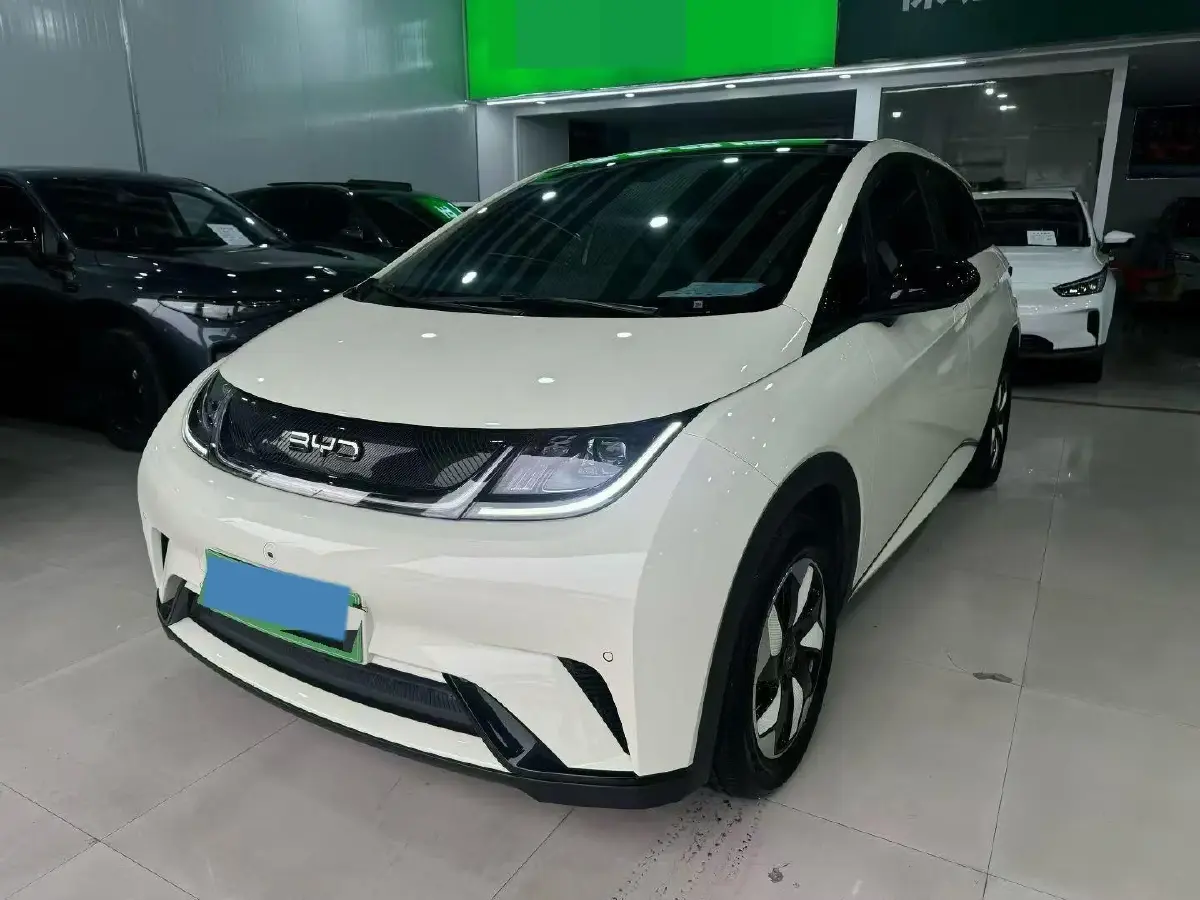 2024 BYD Dolphin BEV 44.928KWH