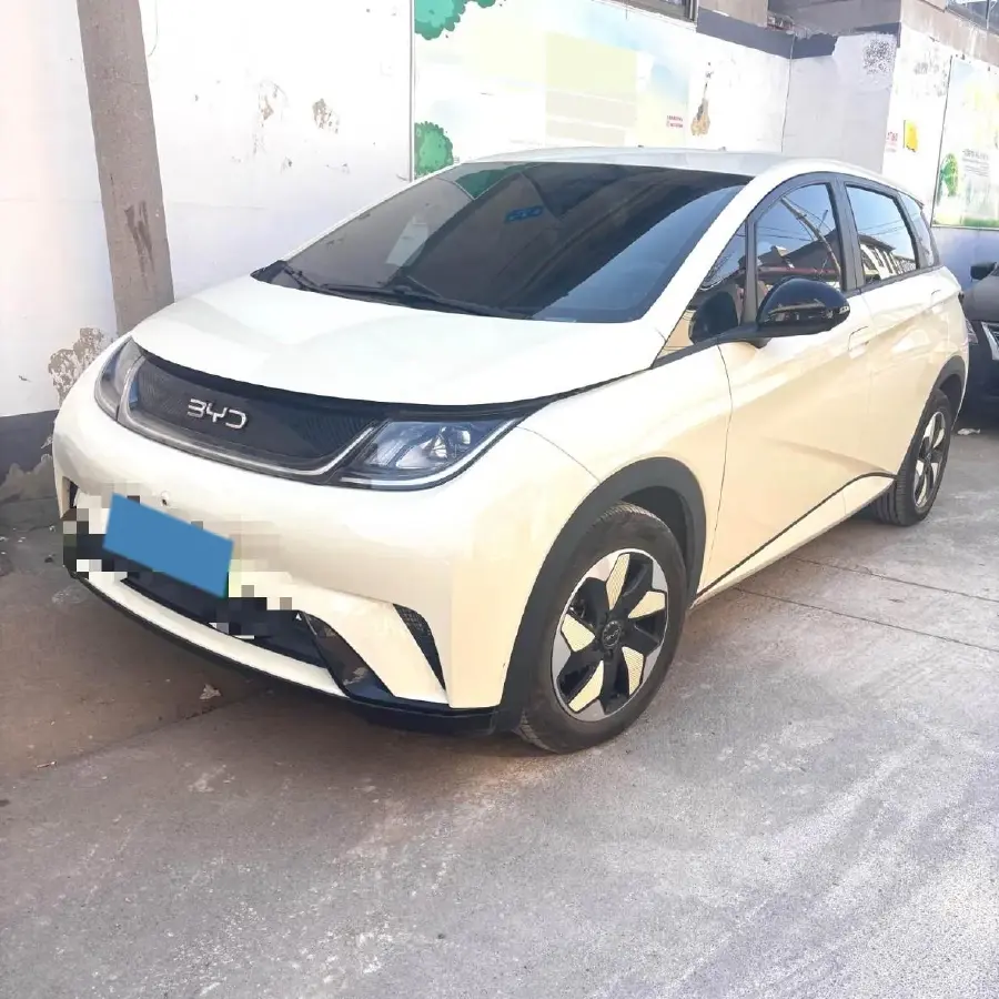 2025 BYD Dolphin BEV 44.928KWH