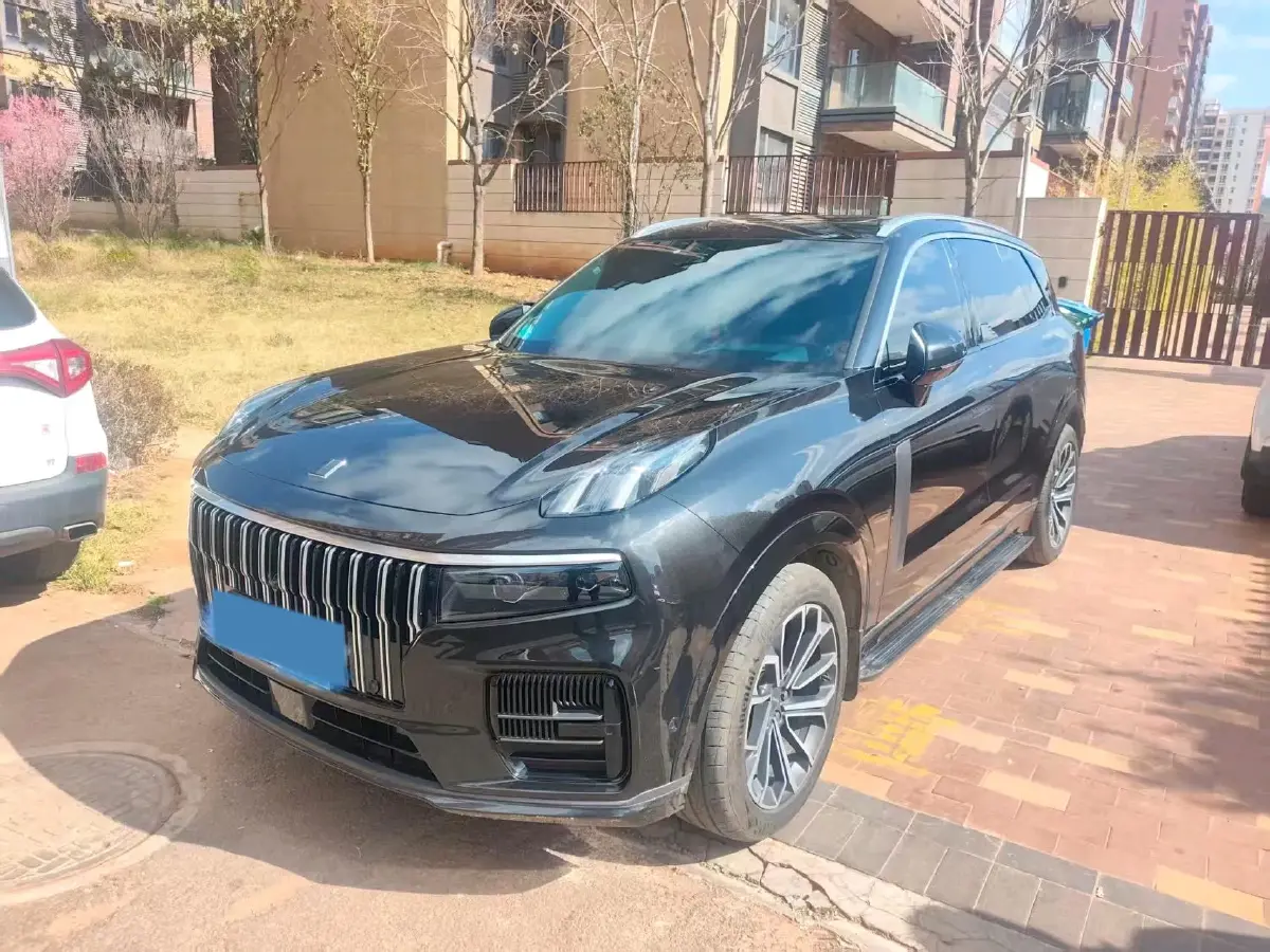 2024 LYNK&CO 09 2.0T 254HP L4 8AT