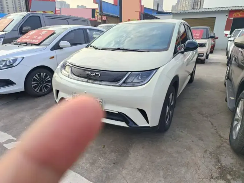 2025 BYD Dolphin BEV 44.928KWH
