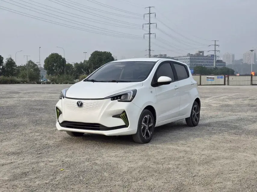 2020 ChangAn BenBen E-Star BEV 32.2KWH