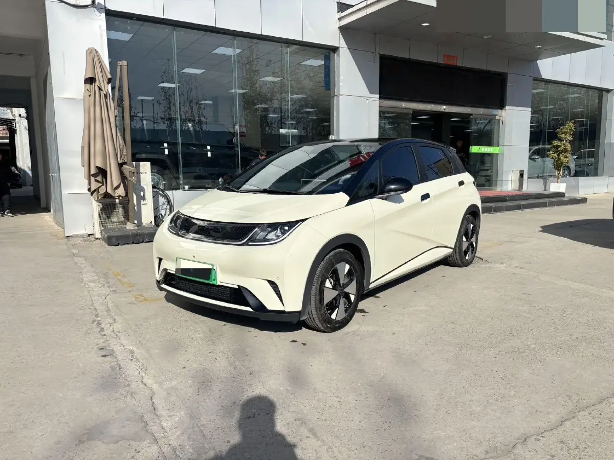 2023 BYD Dolphin BEV 44.928KWH