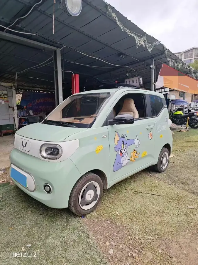 2024 WuLing BinGuo BEV 17.3KWH