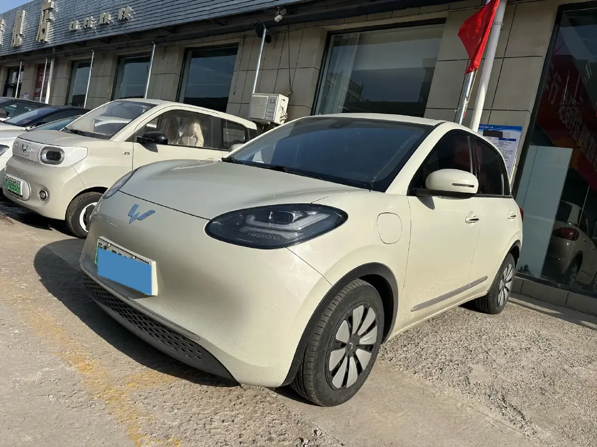 2023 WuLing BinGuo BEV 31.9KWH