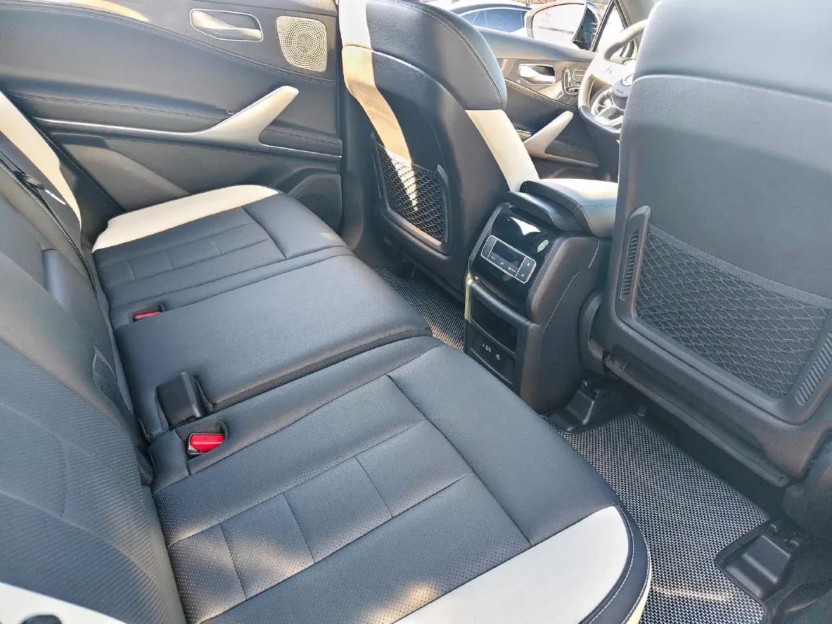 2020 Denza X 2.0T 192HP L4 6DCT PHEV 24KWH,autocango,china used car exporter,china ev exporter,chinese used car exporter,chinese used ev exporter