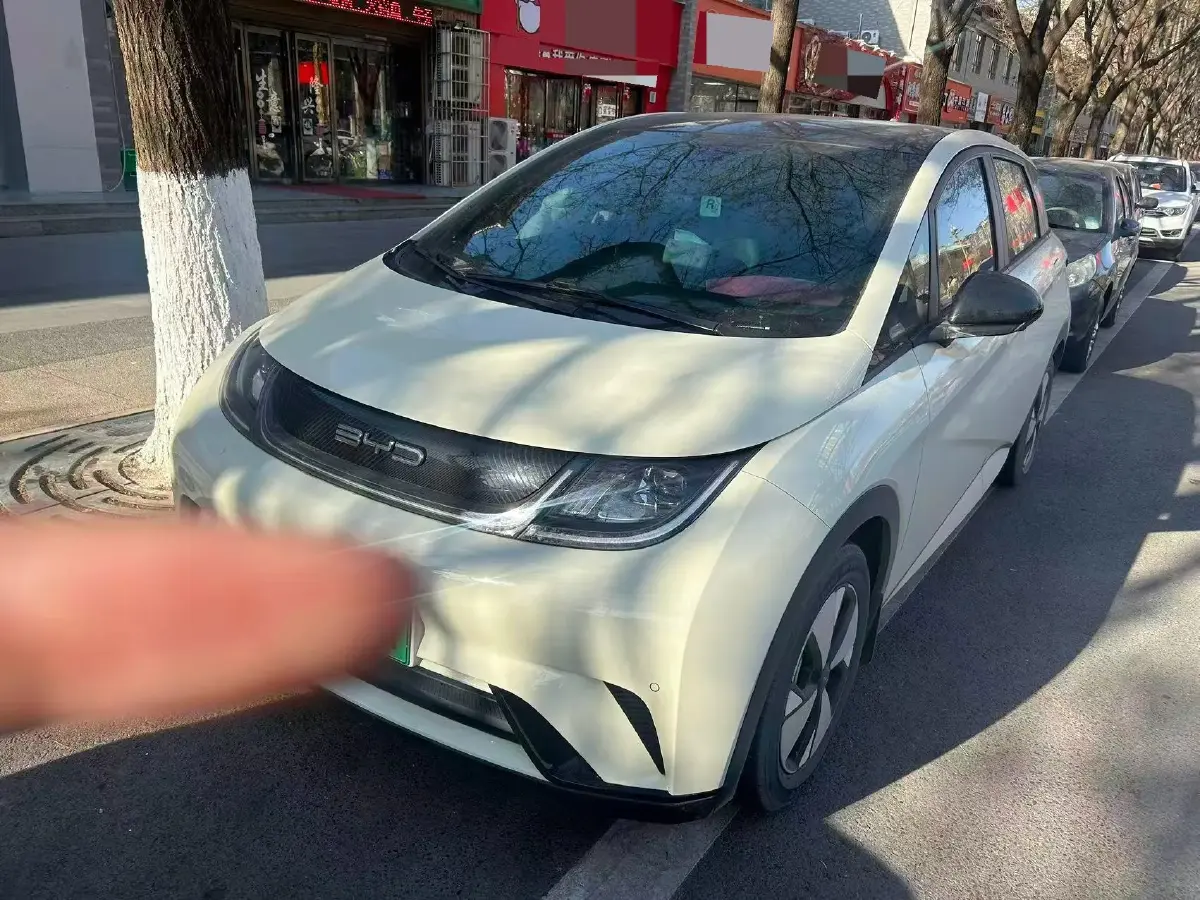 2023 BYD Dolphin BEV 44.928KWH
