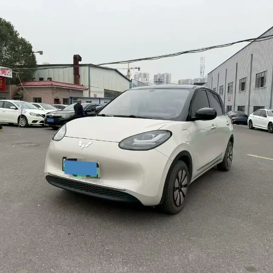 2023 WuLing BinGuo BEV 31.9KWH