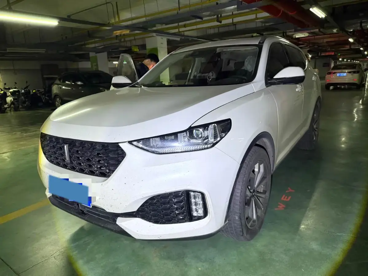 2018 WEY VV6 2.0T 197HP L4 7DCT