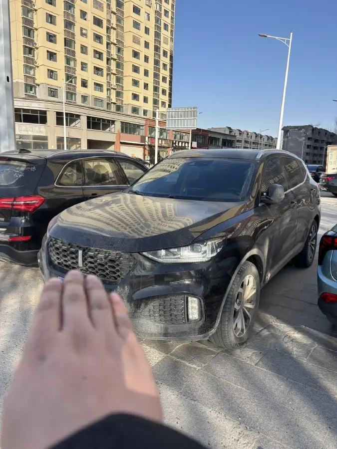 2018 WEY VV6 2.0T 197HP L4 7DCT