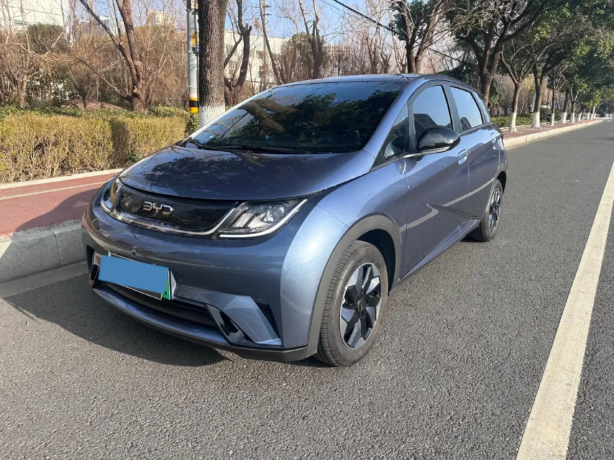 2025 BYD Dolphin BEV 44.928KWH