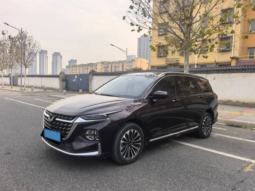 2023 WuLing KaiJie 2.0L 136HP L4 1DHT Hybrid