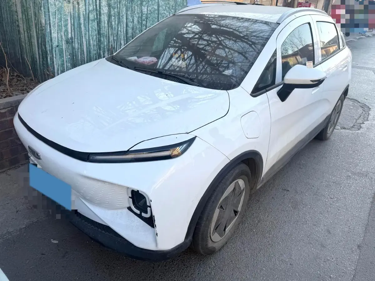 2023 Geometry E BEV 39.4KWH